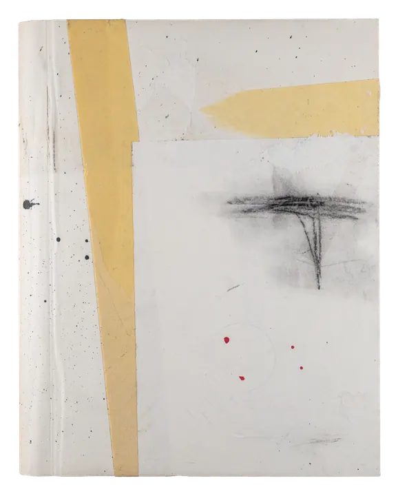 butterfly story, a book by hh, the front cover