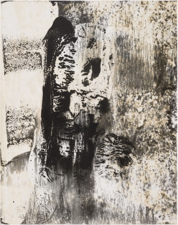 chemigram by hh