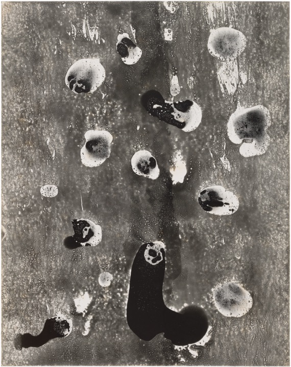 chemigram by hh