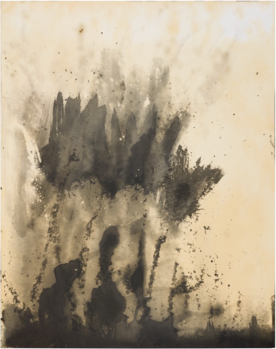 chemigram by hh