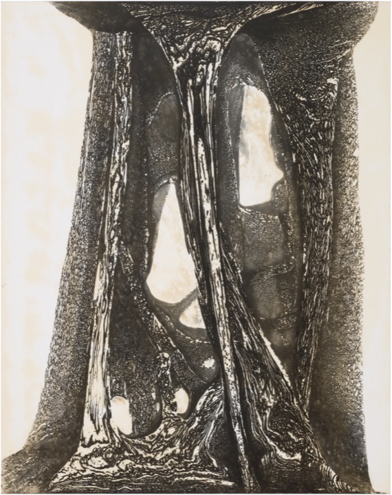 chemigram by hh