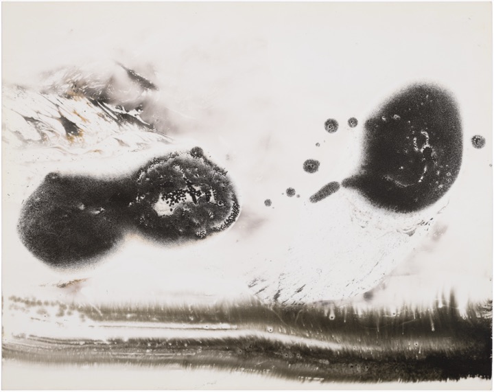 chemigram by hh