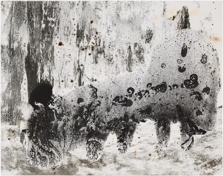 chemigram by hh