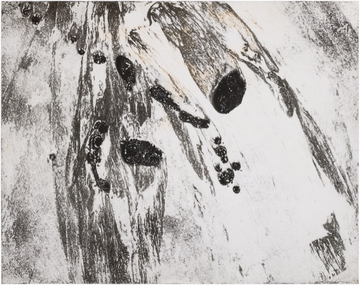 chemigram by hh