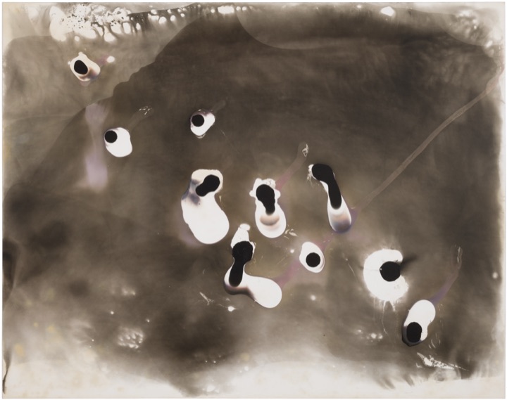 chemigram by hh