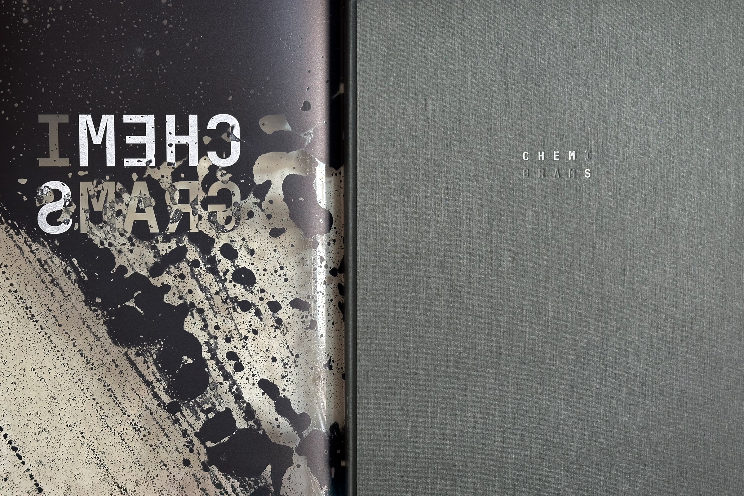 chems book by hh, the hardcover
