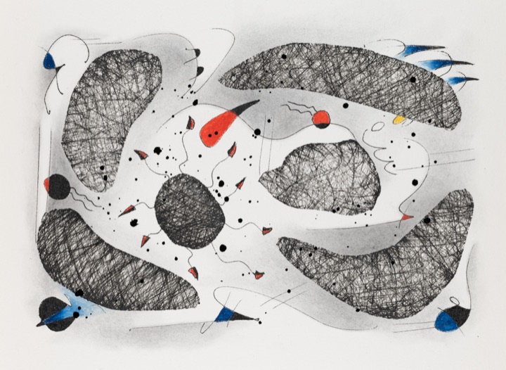 drawing by hh, from microcosms