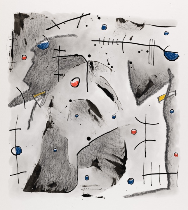drawing by hh, from microcosms