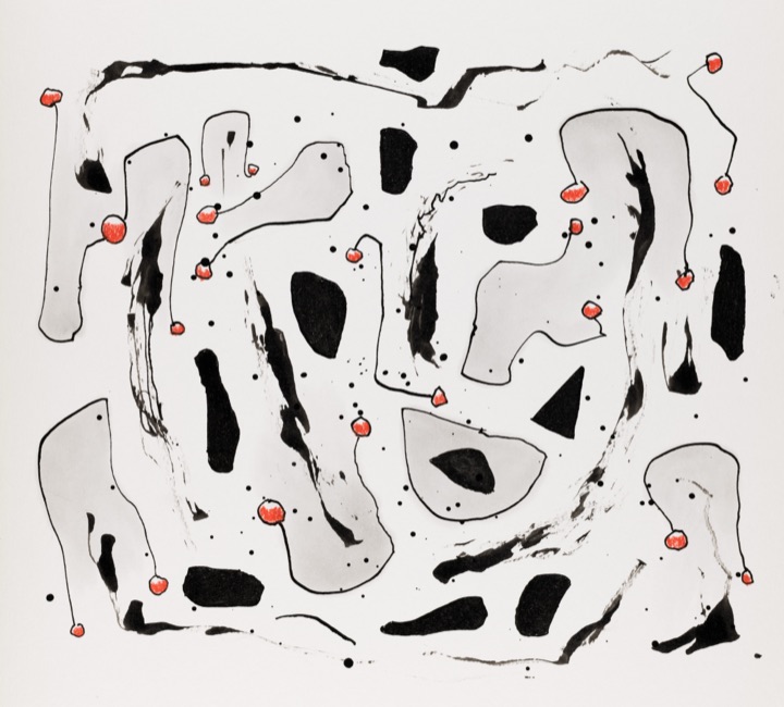 drawing by hh, from microcosms