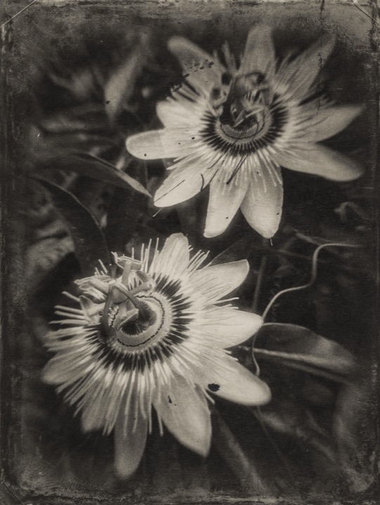 photograph by hh
