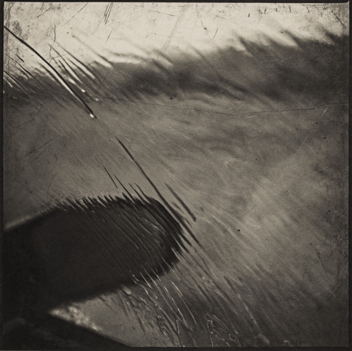 photograph by hh