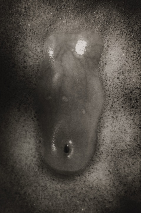 photograph by hh