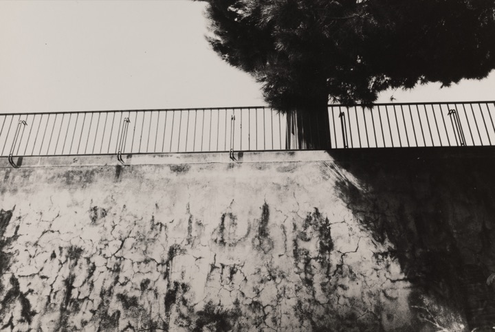 photograph by hh